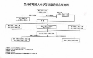 外国人的签证办理流程（外国人签证需要什么材料）