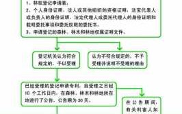 林权登记流程（林权登记管理办法）