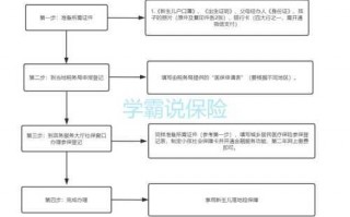 新生儿落地险办理流程（新生儿落地险办理流程是什么）