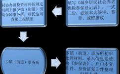 社保办理流程表（社保办理基本流程）