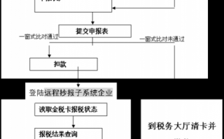 国税交税流程（国税交税流程是什么）