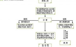 医保保险流程（医保的流程是怎么报的）