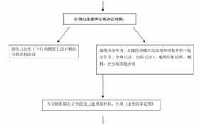 出生证明办理流程（北京出生证明办理流程）