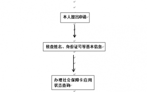 查社保流程（查询社保的途径）