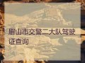 眉山交通违法处理流程（眉山交警大队违章查询）