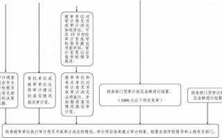 对支付流程审计（对支付流程审计的意见）