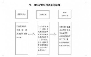 村民选举流程（村民选举的流程）