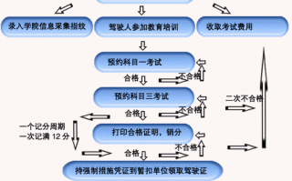 驾照认证流程（驾照认证流程视频）