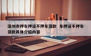 押车不押证贷款流程（押证不押车需要征信吗）