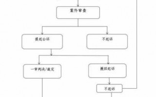 案件审查流程（案件审查流程图）