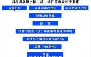 护照到哪办理流程（护照到哪办理流程图）