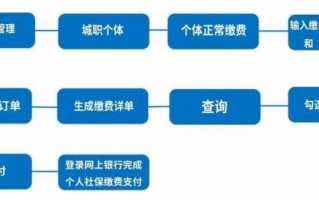 成都社保网上申请流程（成都社保网上申请流程视频）