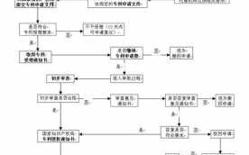 专利官费缴纳流程（专利官费缴纳流程图）