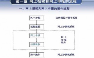 抄报税全流程（抄报税全流程视频教程税务uKey版）