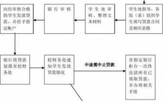 学生贷审核流程（学生贷如何申请）