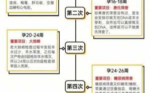 怀孕后流程2017（怀孕后 流程）