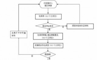 农村养保险的流程（农村怎么养老保险缴费）