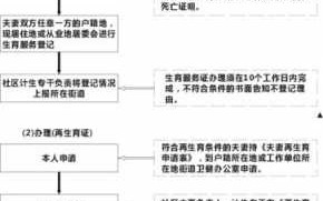 计生家庭办理流程（计生家庭子女是什么意思）