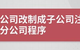 子公司改制流程（子公司改制流程怎么写）