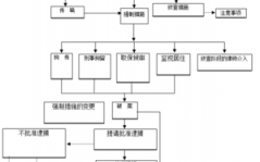 证据出示的流程（给出证据）