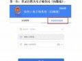 纳税申报网站流程（纳税申报网上申报的操作）