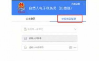 纳税申报网站流程（纳税申报网上申报的操作）