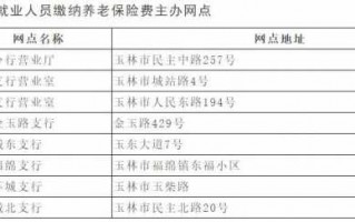 玉林个人社保缴费流程（玉林个人社保缴费流程查询）