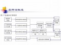 品种选定流程（品种选择）