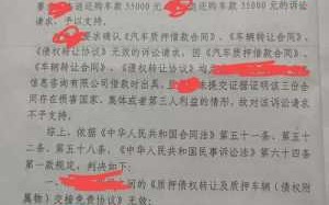 抵押车法院判决流程（抵押车纠纷法院怎么判）