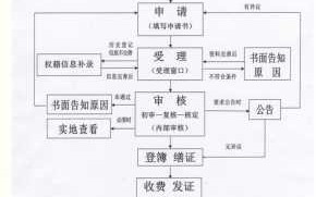 不动产首次登记流程（不动产首次登记证明图）