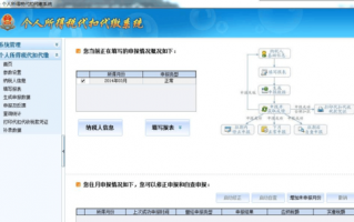 合肥申报纳税流程（合肥报税网站）