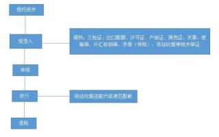 报关担保的流程（报关担保的流程包括）