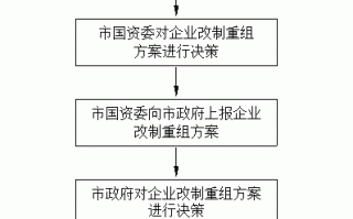 改制重组流程（改制重组流程是什么）