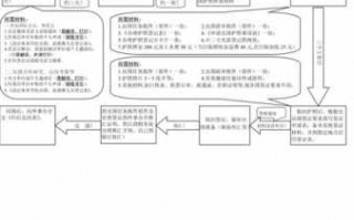 办理出国工作签证流程（办理出国工作签证流程视频）