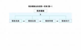 税务稽核流程（税务稽核流程图）