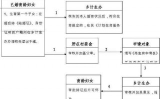 怀孕上报计生办流程（怀孕后上报计生办）