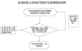 残疾判定流程（残疾判定流程及标准）