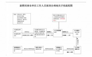 事业单位报到流程（事业单位报到流程是什么）