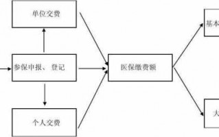 自费交医保流程（自费交医保流程图）