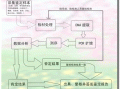 dna鉴定实验流程（dna检验鉴定）