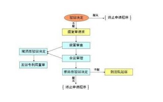 复审请求流程（复审申请怎么写）