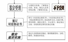 工程造价司法鉴定流程（工程造价司法鉴定流程图）