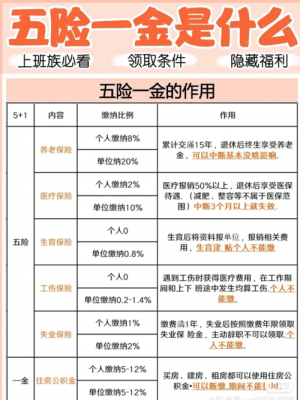 代交五险一金流程（代缴五险一金怎么收费）-第2张图片-祥安律法网