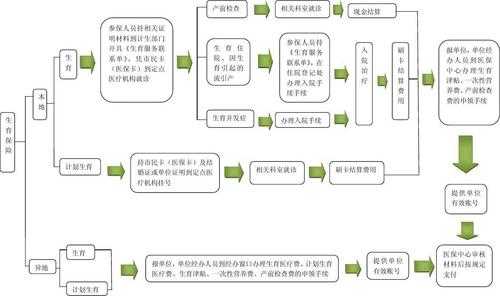 广州生育保险办理流程（广州生育保险办理流程是什么）-第2张图片-祥安律法网