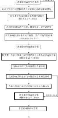 公司改制流程图（公司改制流程图表）-第2张图片-祥安律法网