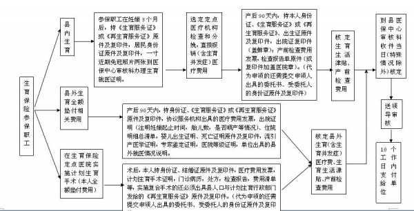 生育险工作流程（生育险办理流程）-第2张图片-祥安律法网