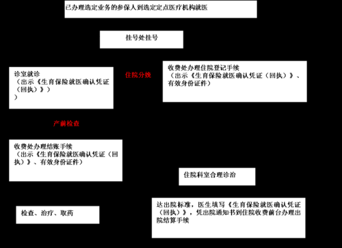 生育保险在医院的流程（生育保险在医院的流程是什么）-第3张图片-祥安律法网