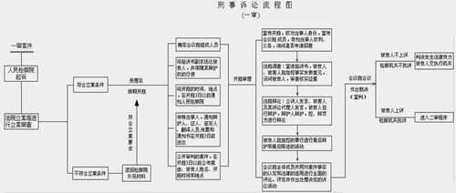 刑事公诉流程（刑事公诉起诉的条件）-第2张图片-祥安律法网