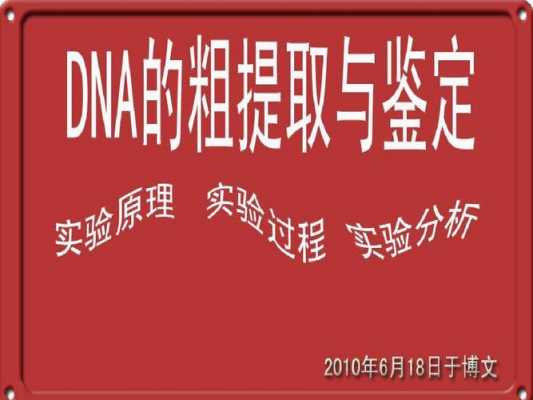 dna鉴定实验流程（dna检验鉴定）-第3张图片-祥安律法网