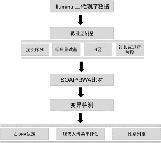 dna鉴定实验流程（dna检验鉴定）-第2张图片-祥安律法网